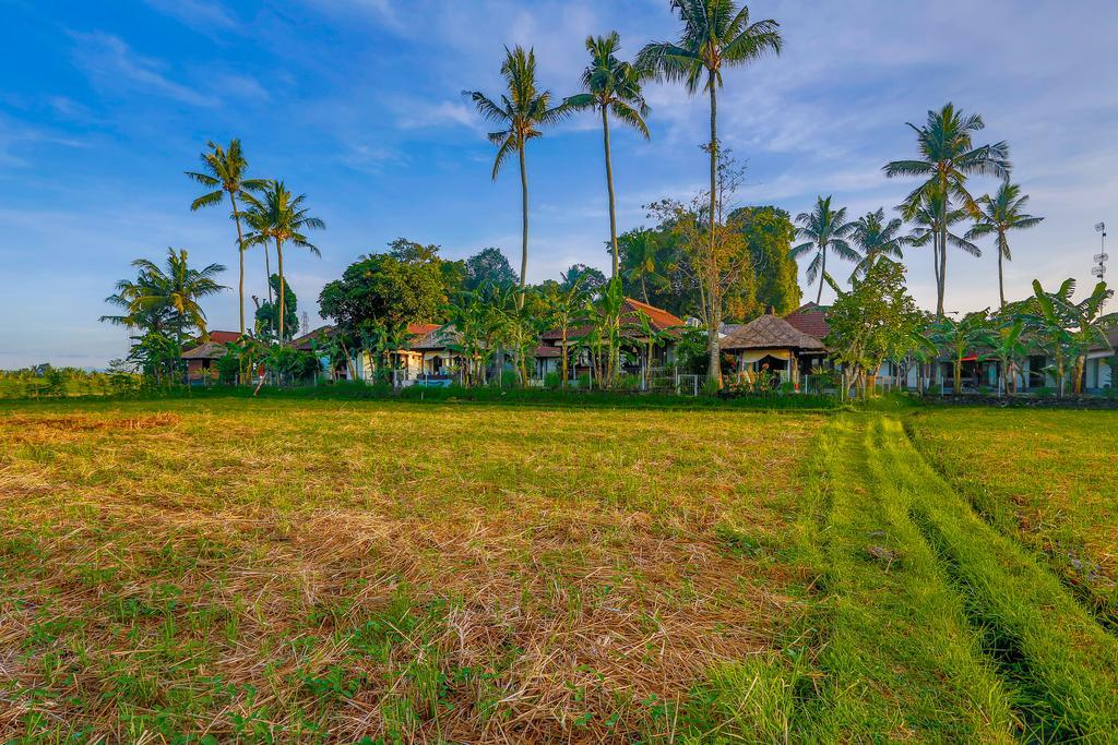 Villa Kaba Kaba Resort Canggu Kültér fotó