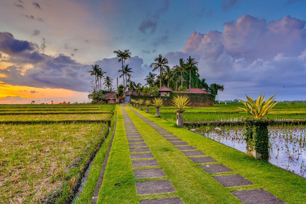 Villa Kaba Kaba Resort Canggu Kültér fotó