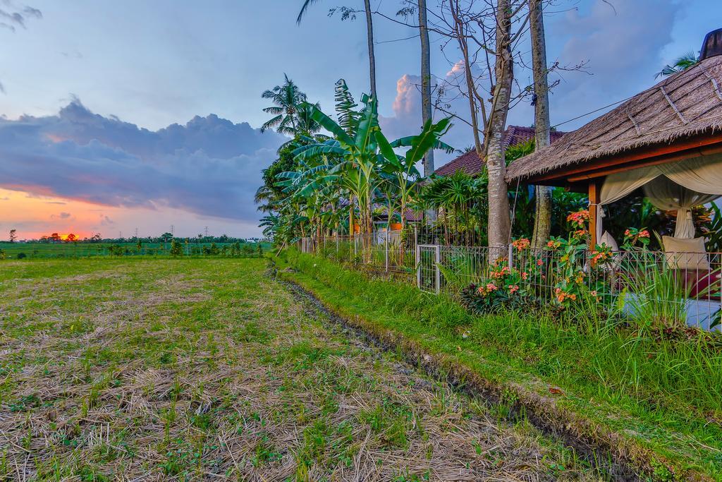 Villa Kaba Kaba Resort Canggu Kültér fotó