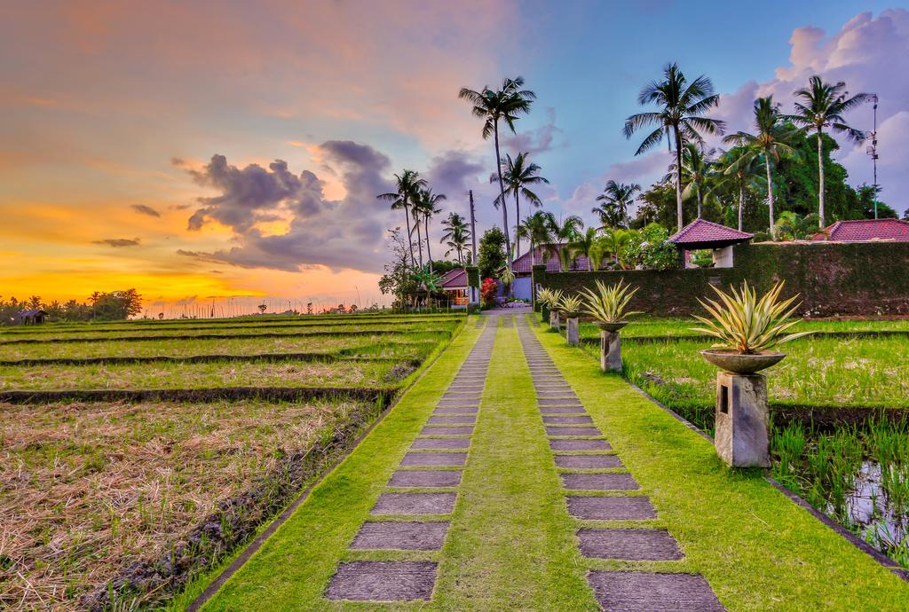 Villa Kaba Kaba Resort Canggu Kültér fotó