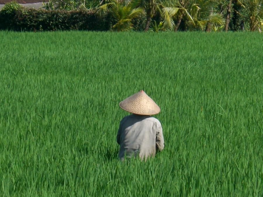 Villa Kaba Kaba Resort Canggu Kültér fotó