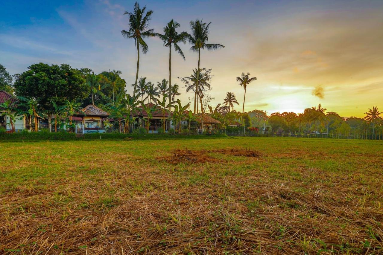 Villa Kaba Kaba Resort Canggu Kültér fotó